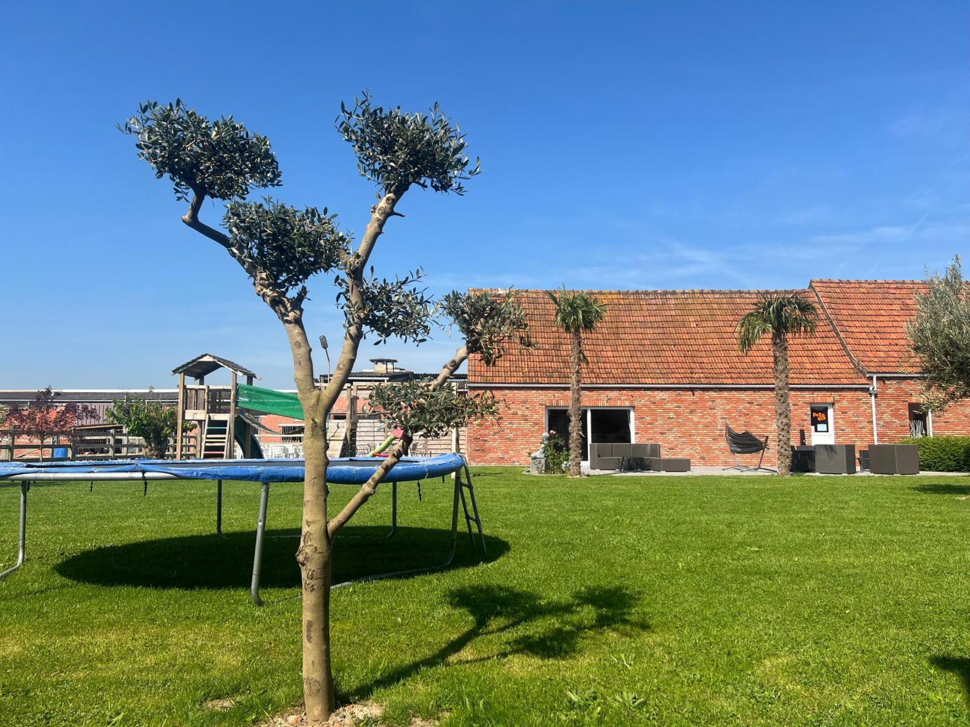 B&B Deso Zonnebeke Dış mekan fotoğraf